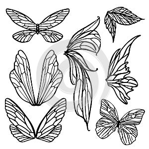 Fairy Insect Butterfly Wing Vector Art Collection