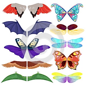 Fairy insect wings vector flying kids carnival costume winged bird bat and butterfly insects with wingspan for halloween photo