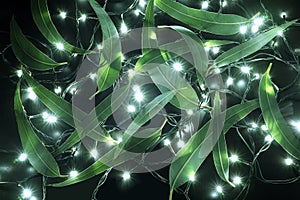 Fairy Lights and Gum Tree Leaves