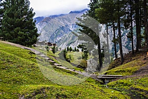 Fairy Meadows grassland