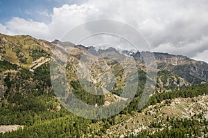 Fairy Meadows Nanga Parbat Beautiful Fine Trees forest Landscape