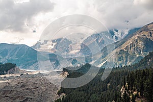 Fairy Meadows Nanga Parbat Beautiful Fine Trees forest Landscape