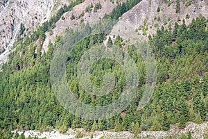 Fairy Meadows of Nanga Parbat in India