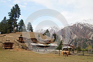 Fairy Meadows is the place to see Nanga Parbat, Pakistan.