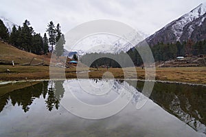 Fairy Meadows is the place to see Nanga Parbat Pakistan.