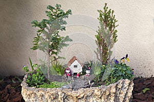 Fairy mini garden