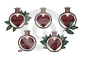 Fairy pomegranates graphic vector collection, hand drawn sketche