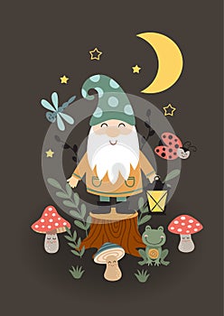 Fairy poster with gnome, insect, frog and mushrooms