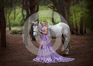 A fairy in a purple, transparent dress with a long train - caught a unicorn. Fantastic magical, radiant horse. Blonde