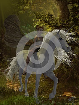 Fairy rides Unicorn