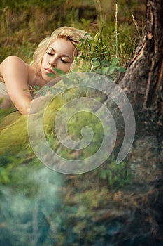 Fairy sleeping in the woods