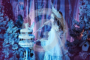 Fairy snow fairy freezes with magic
