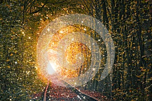 Fairy Sparkle place - Autumn Trees Tunnel with old railway - Tunnel of Love. Mystical tunnel of love formed by trees. Mystery