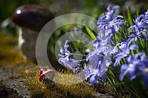 Fairy story.Gnome figurine in the garden.