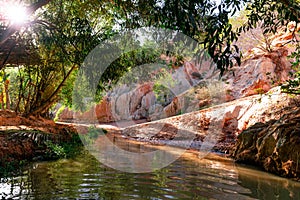 Fairy Stream Canyon. Red river between rocks and jungle. Mui Ne. Vietnam