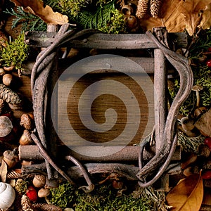 Fairy tale ambiance magic autumnal forest frame
