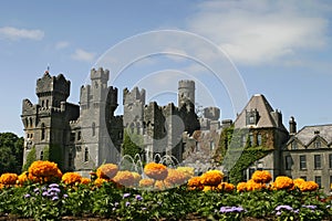 Fairy Tale Castle With Flowers