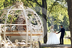 Fairy-tale cinderella wedding carriage magical wedding couple br