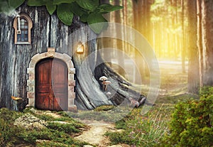 Fairy tree house with old door in fantasy forest