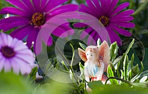 Fairy on vegetation