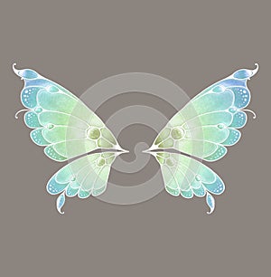 Fairy Wings photo