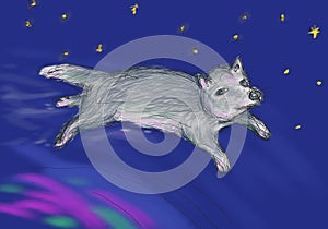 Fairy wolf flying over the northern lights in space. Illustration for children`s book, metaphorical cards, oriental horoscope photo