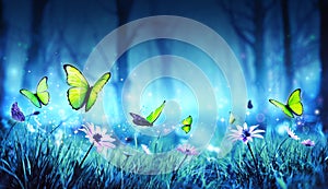 Fairy Butterflies In Mystic Forest photo