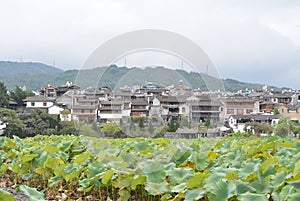 Fairyland like Yunnan and Heshun ancient town