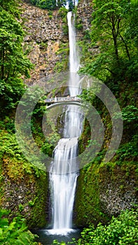 Fairyland Multnomah Falls