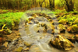 Fairylike river in the forest with long shutterspeed to show the flow