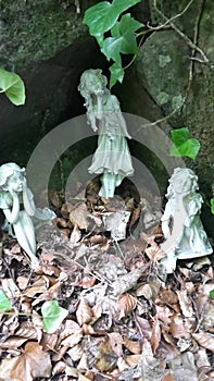 Fairys in the forest