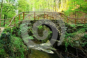 Märchen brücke 