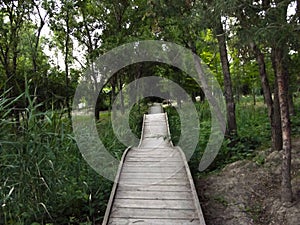 Fairytale bridge in the park