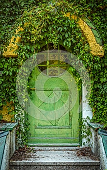 Fairytale Cottage Door