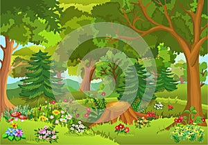 Fairytale forest photo