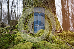 Fairytale house inside tree