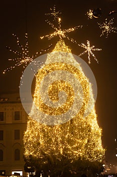 Fairytale Ljubljana city In Christmas Time with Christmas Tree, bridge and Christmas decoration, Slovenia