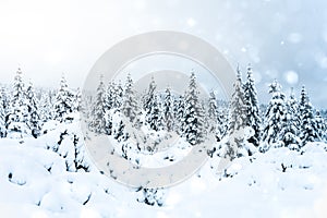 Fairytale winter forest landscape