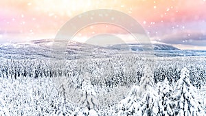 Fairytale winter forest landscape