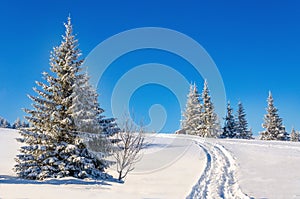 Fairytale winter landscape with snow-covered trees