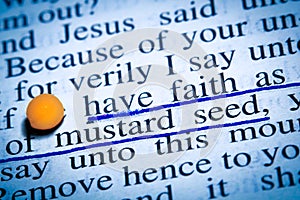 Faith as mustard seed