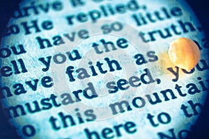 Faith as mustard seed photo