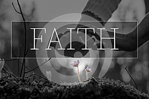 Faith text over hands nurturing a flower