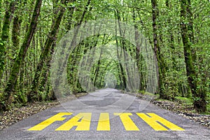 Jungle road to faith photo