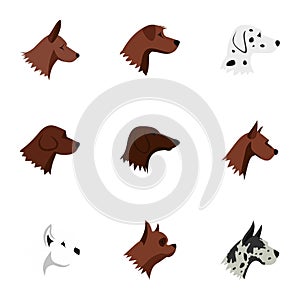 Faithful friend dog icons set, flat style