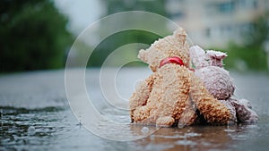 Faithful friends - a bunny and a bear cub sit side by side on the road, wet under the pouring rain. Look forward