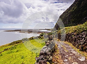 Faja da Caldeira de Santo Cristo on Sao Jorge Island photo