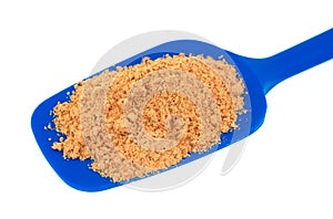 Fajita seasoning mix in a blue spoon