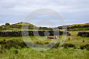 Fajã da Caldeira de Santo Cristo, a small inhabited headland on the island of Sao Jorge, Azores