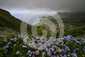 FajÃ£zinha, Flores, Azores, Portugal